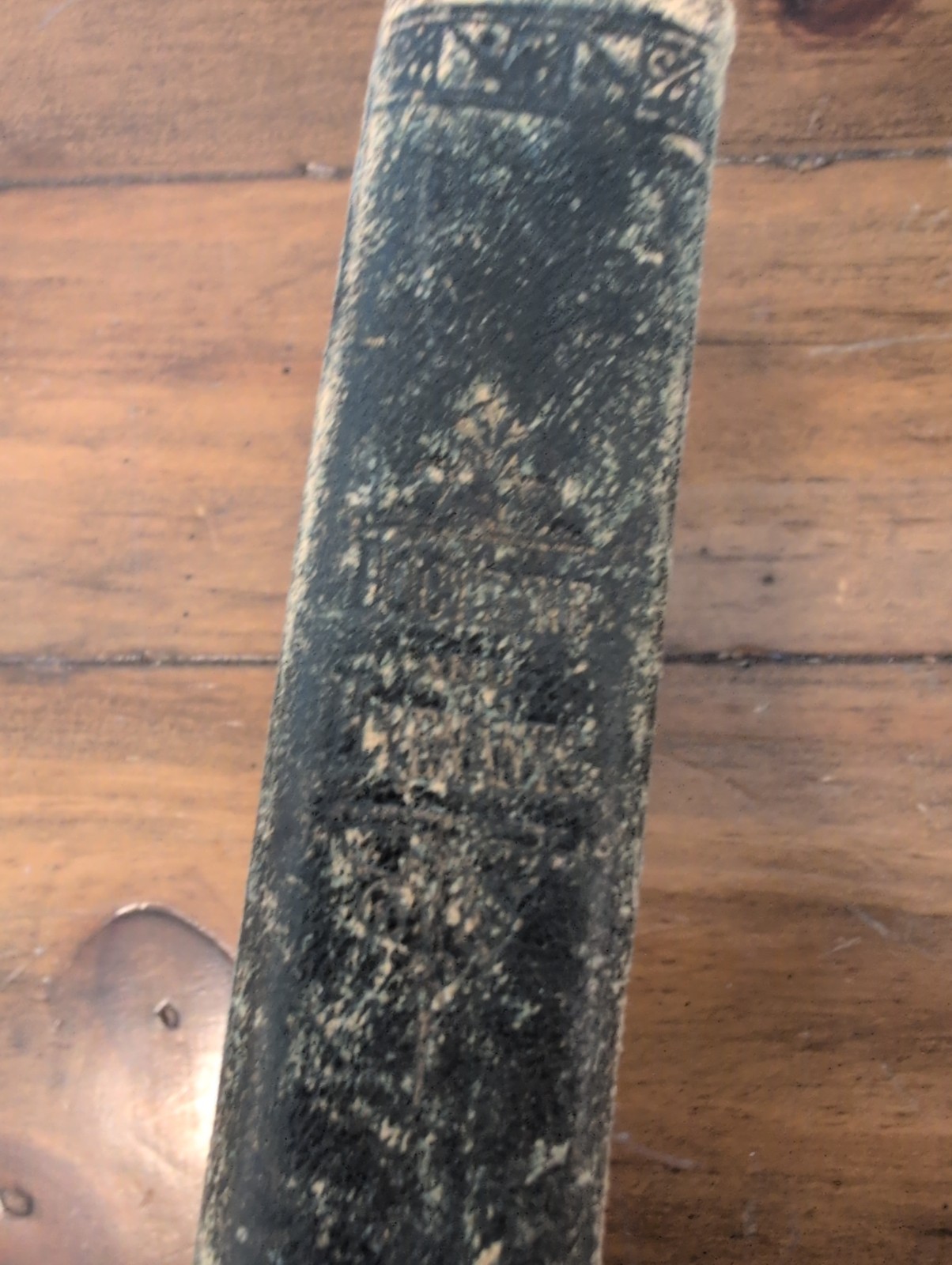 1880 Doctrine & Covenants