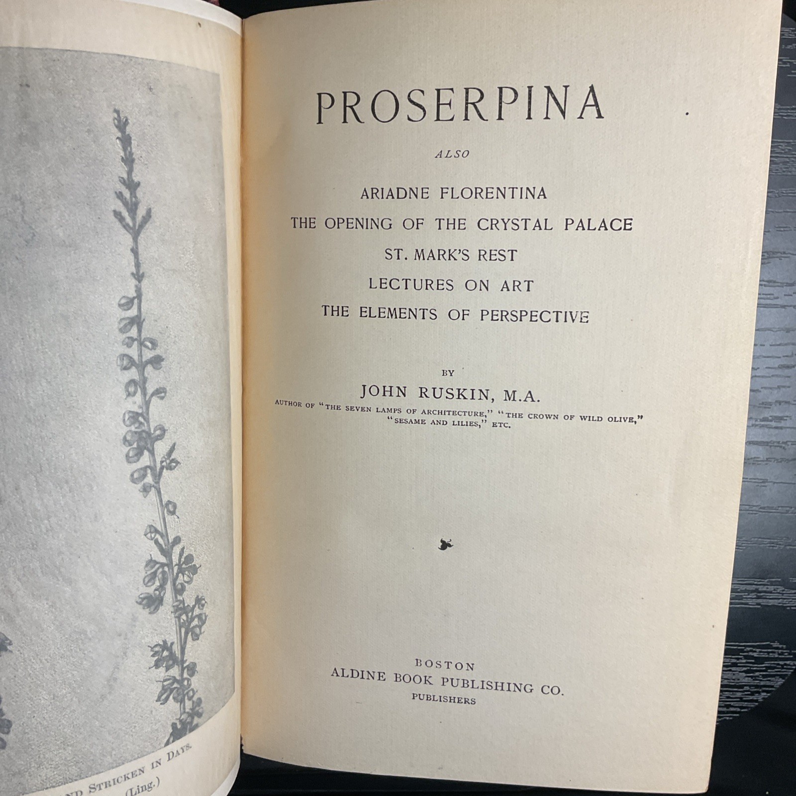 John Ruskin Proserpina St. Mark’s Rest Etc VTG Pre-1899 CLOTH HC ILLUSTRATED