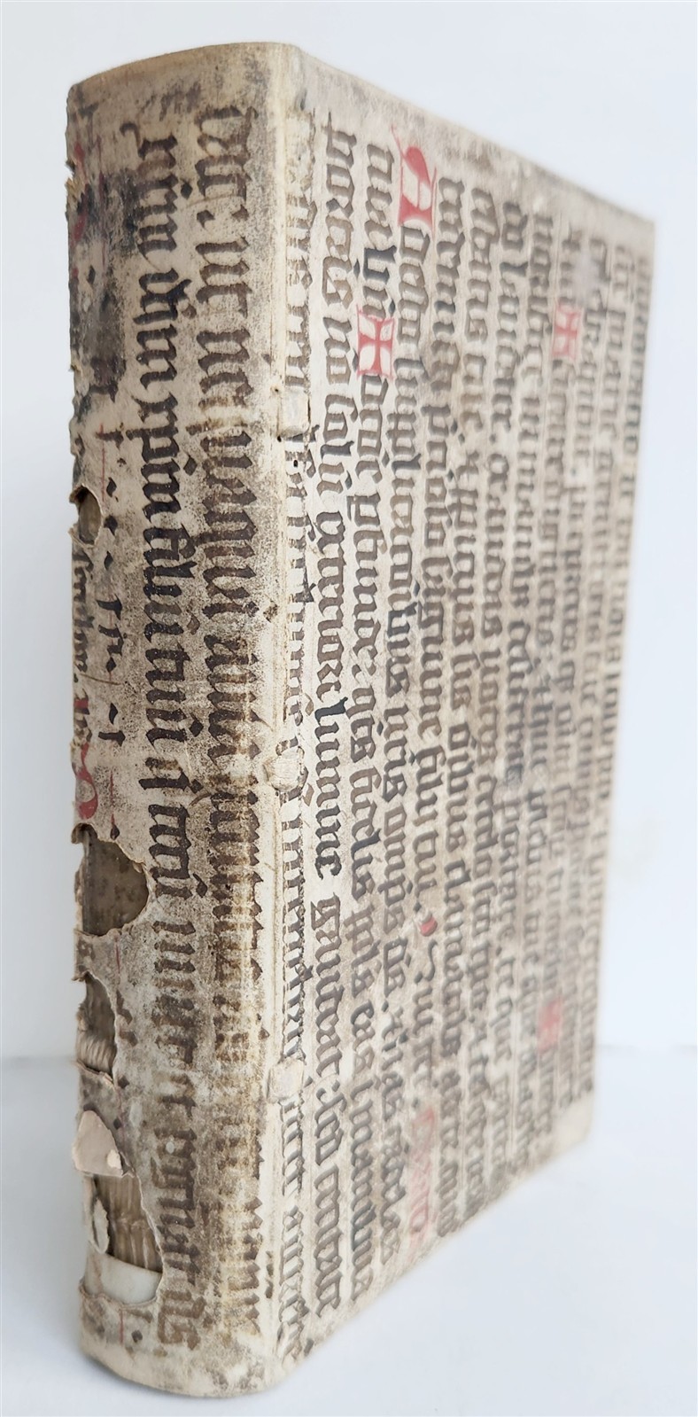 1598 COMEDIES of TERENCE ILLUSTRATED by AMMAN antique VELLUM MANUSCRIPT BINDING