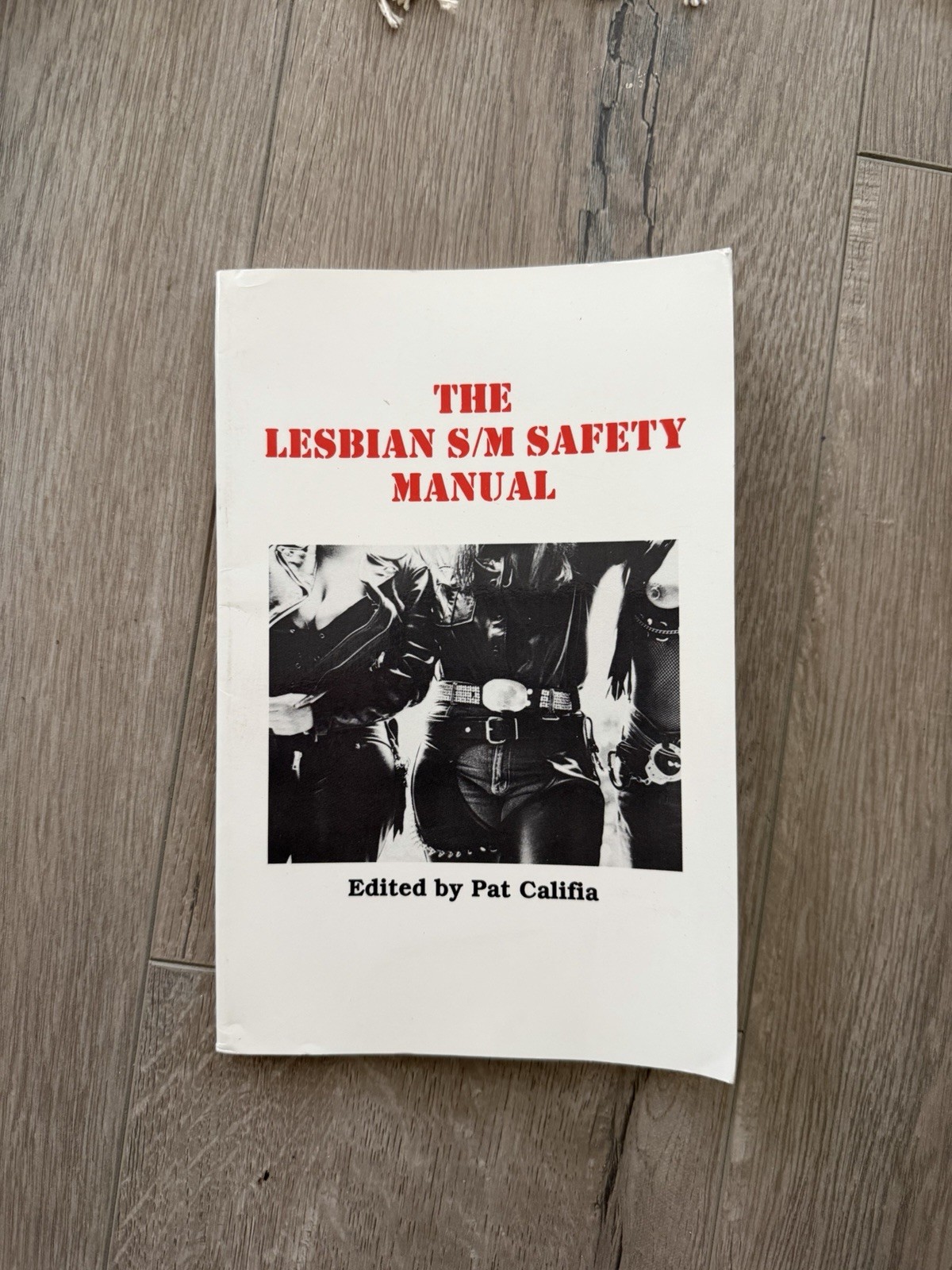The Lesbian S/M Safety Manual By Pat Califa Vintage Book LGBTQ ephemera