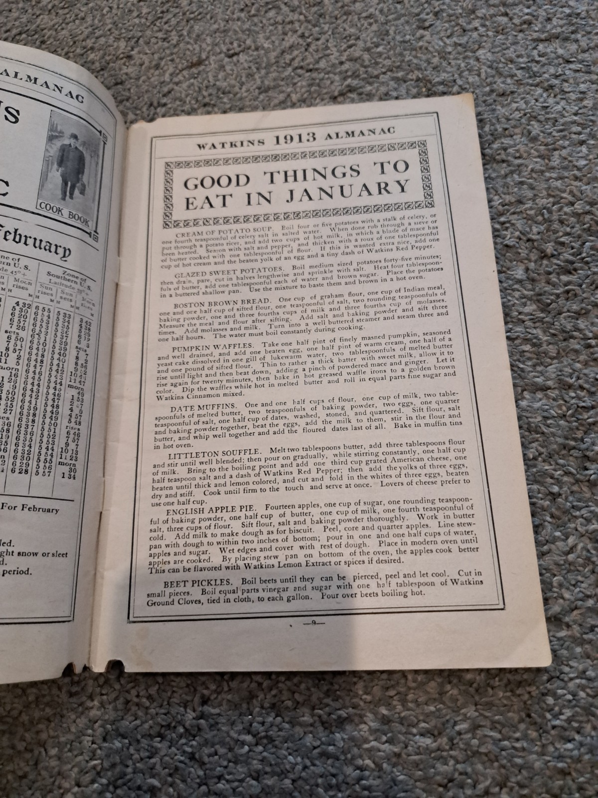 1913 Watkins Almanac Home Doctor & Cook Bok J. R. Watkins Medical Company