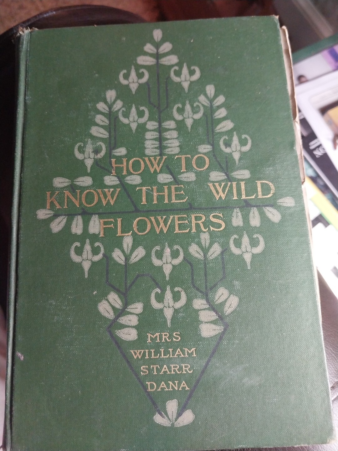 How to Know the Wild Flowers Guide by Mrs. William Starr Dana Scribner’s 1905