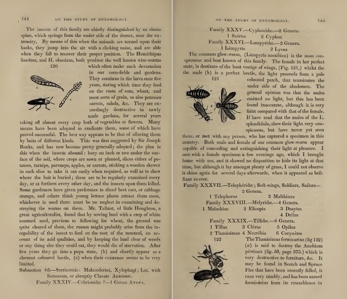 The Horticultural Register and General Magazine (1831-1836) – 5 Volumes on DVD