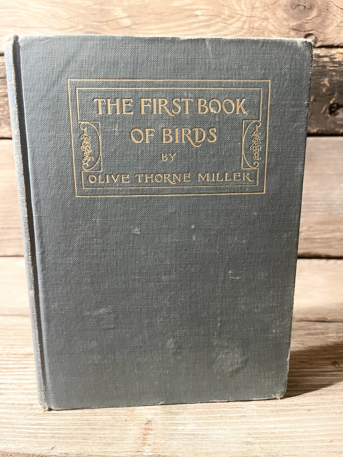 The First Book Of Birds, Olive Thorne Miller, 1899 Houghton Mifflin, CLEAN PAGES