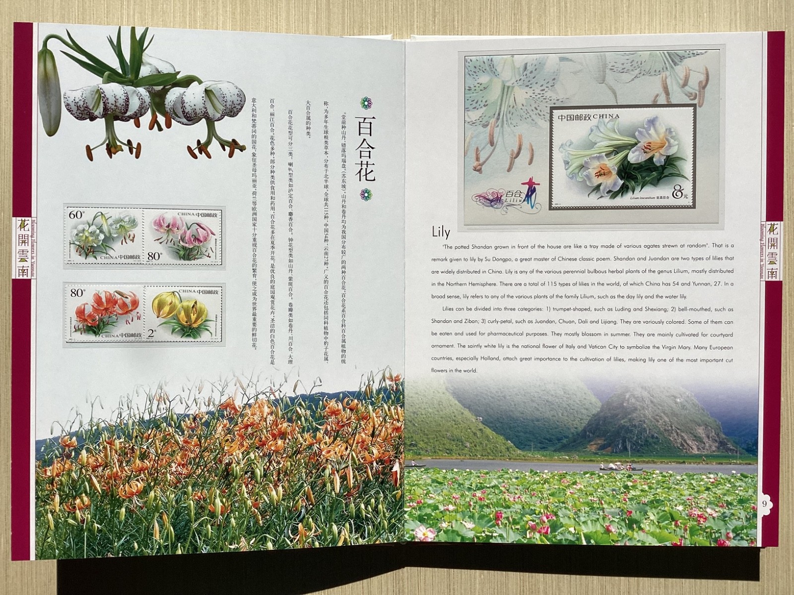 Blooming Flowers in Yunnan with MNH stamps China camellias etc in clamshell box