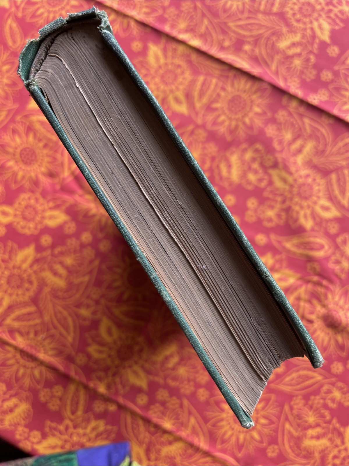 The Mental Cure Illustrating the Influence of the Mind on the Body by W.F. Evans