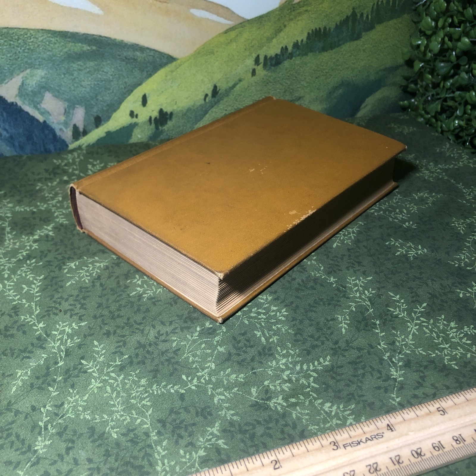 Clark 1888 Victorian Interlinear Homer’s Iliad Hardcover McKay De Silver Vg