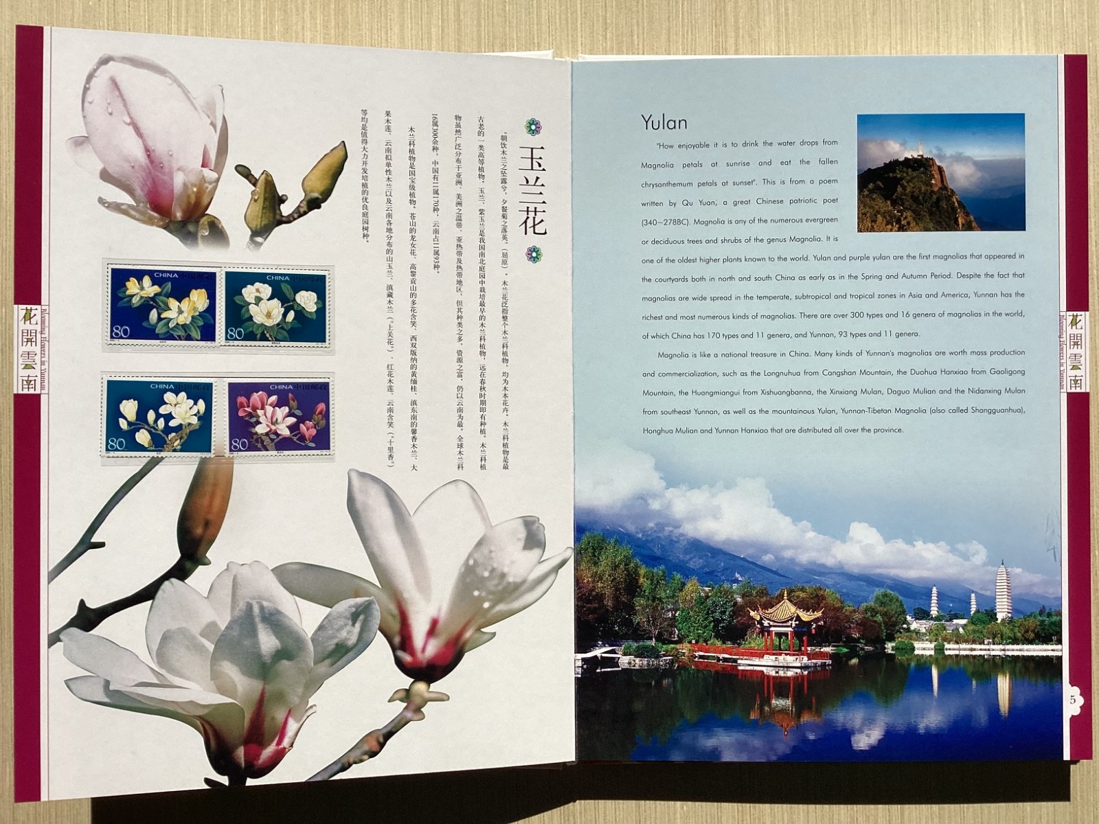 Blooming Flowers in Yunnan with MNH stamps China camellias etc in clamshell box