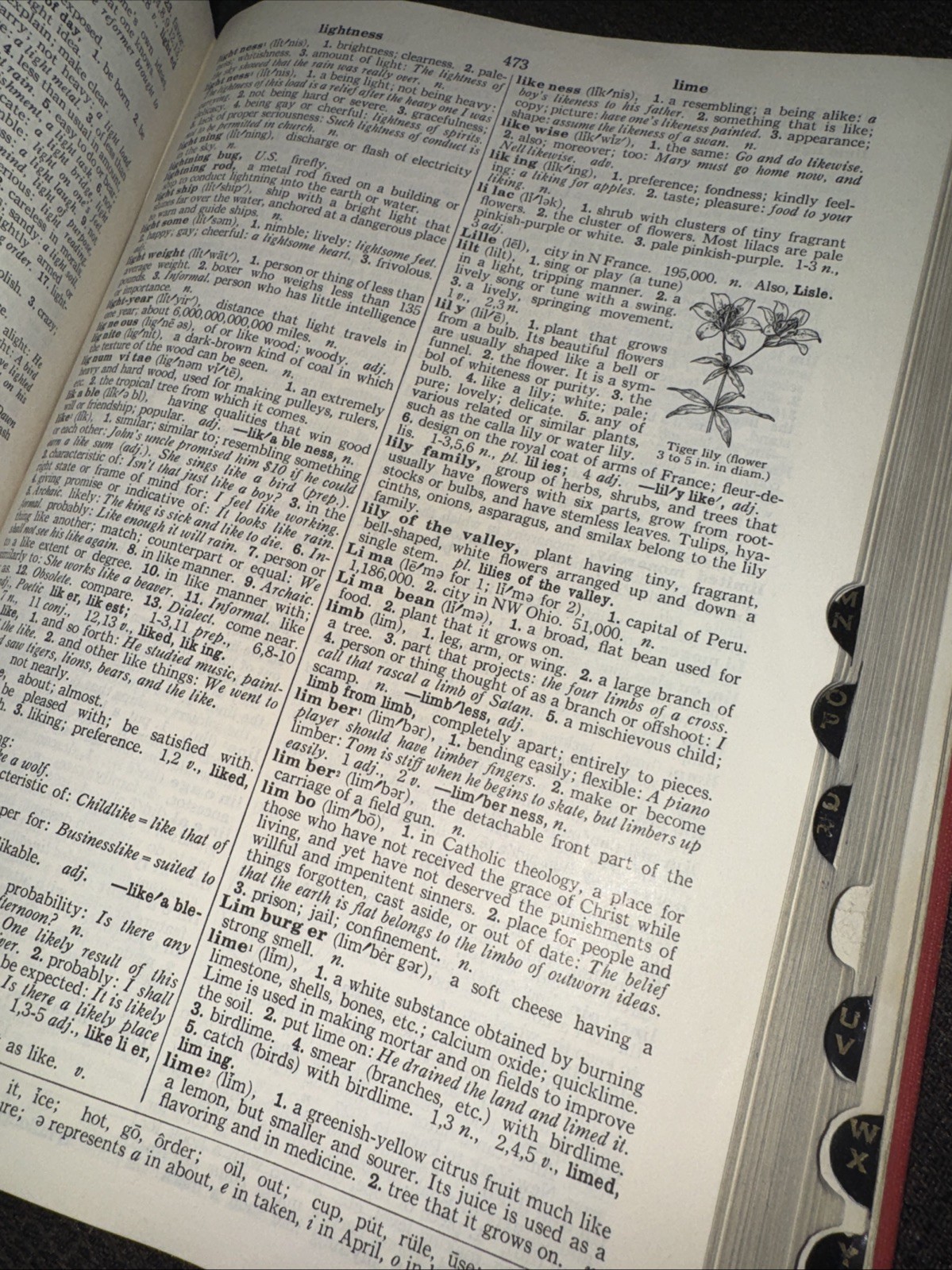 Vintage 1965 Advanced Junior Dictionary Third Edition By Thorndike & Barnhart