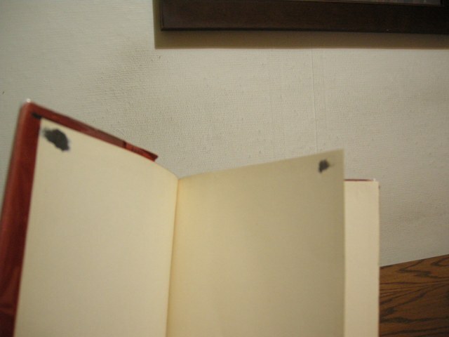 The Devil Alfred Neumann First American Edition 1928