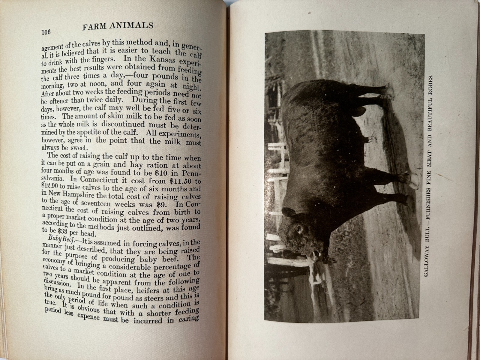 Farm Animals by E. V. Wilcox-Doubleday Page & Company-1907-SHIPS FREE!