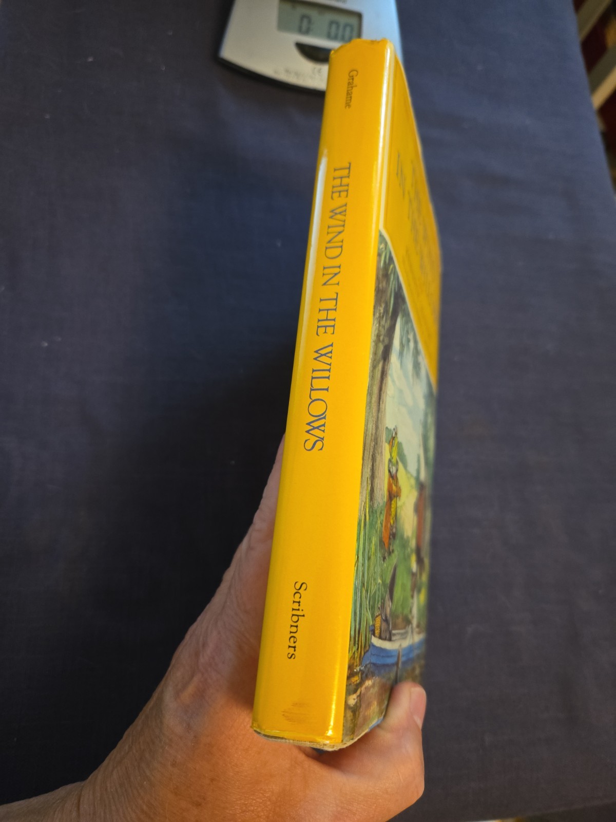 The Wind in the Willows Grahame Shepard 75th Anniversary Edition Scribners nice