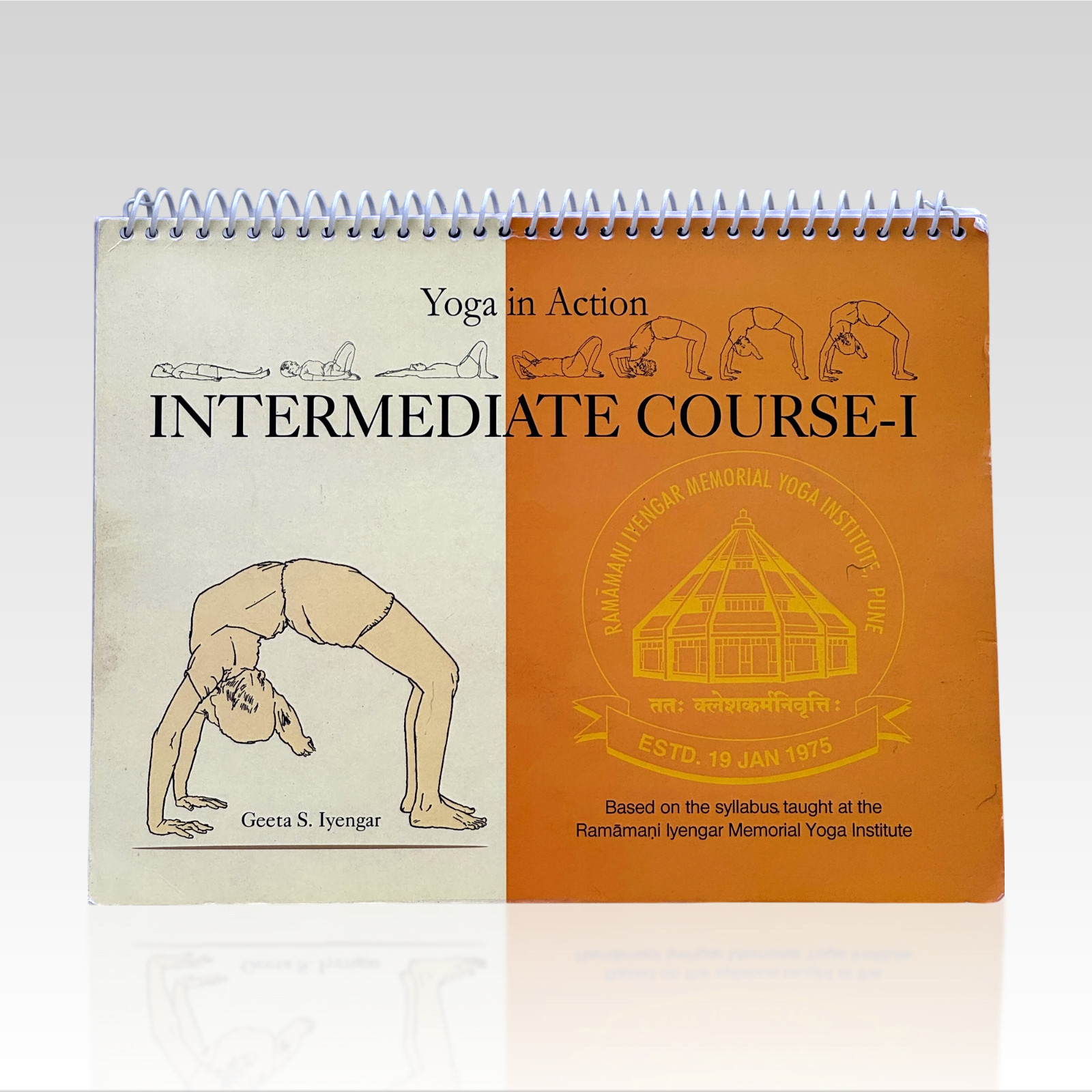 2013 GEETA S. IYENGAR. Yoga in Action: Intermediate Course – 1 PB