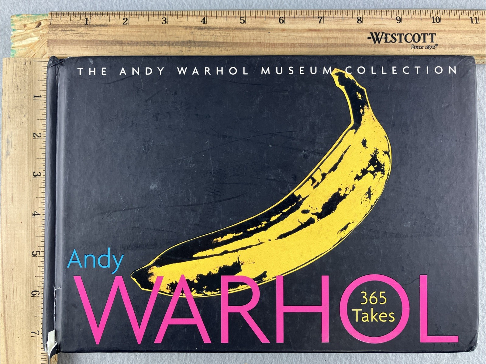 ANDY WARHOL: 365 TAKES: THE ANDY WARHOL MUSEUM COLLECTION ART Photography