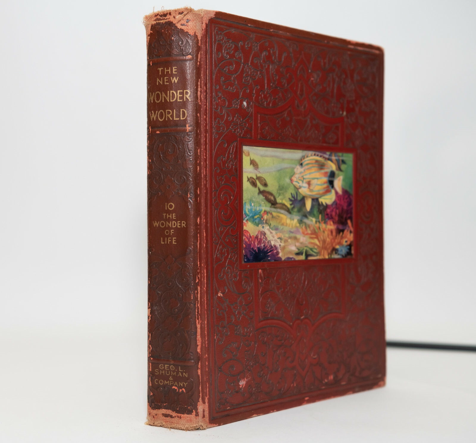 THE NEW WONDER WORLD(VOL.10)/THE WONDER OF LIFE by GEO L SHUMAN (1932) Vintage