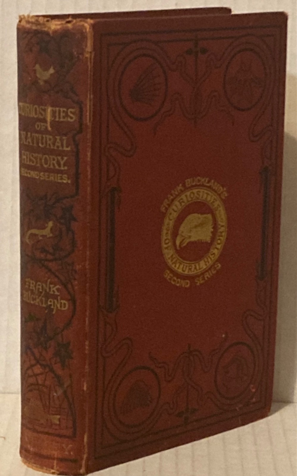 1886 Curiosities of Natural History by Frank Buckland Hardcover Vintage
