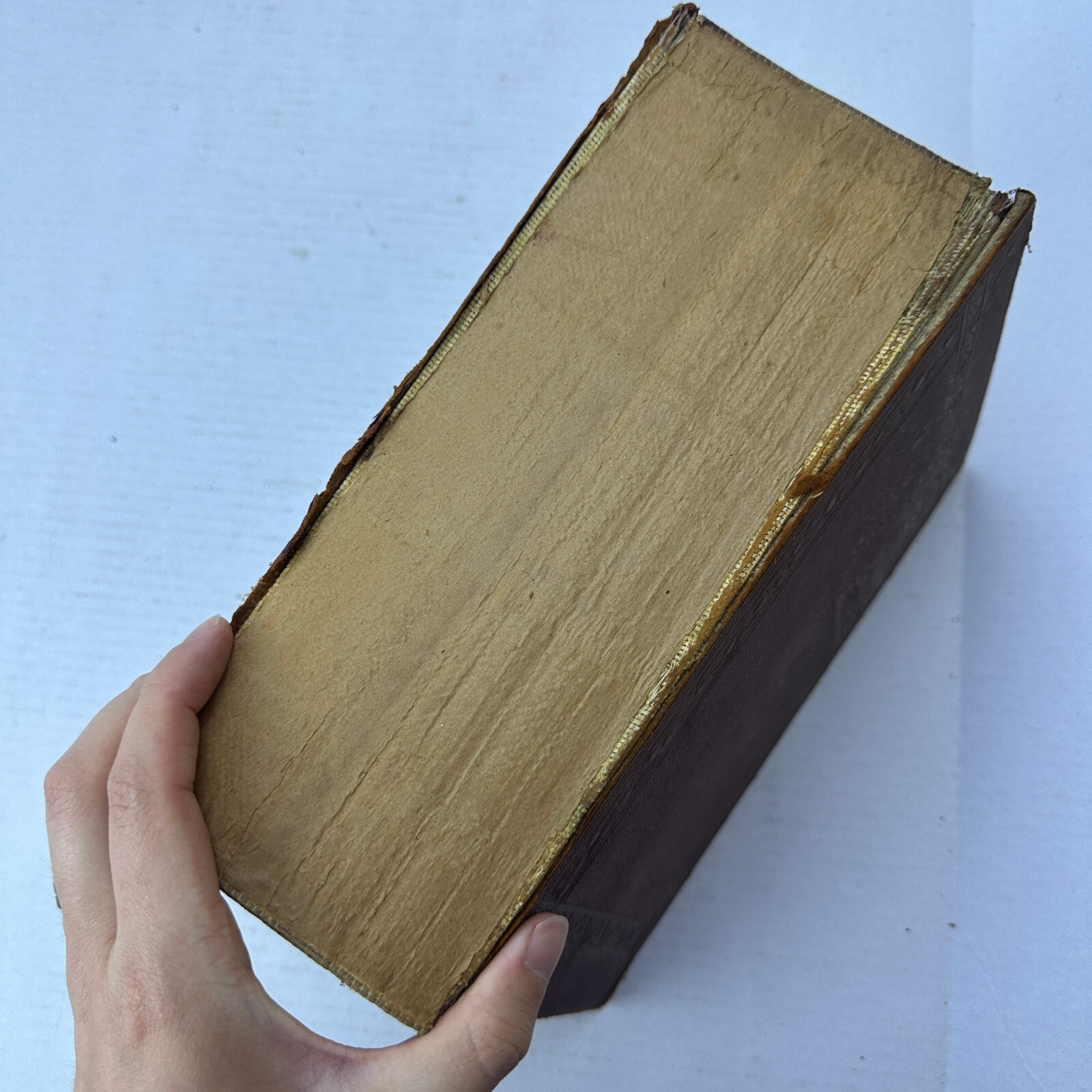 Muret Sanders Encyclopedia English German Dictionary HC 1909 As Is
