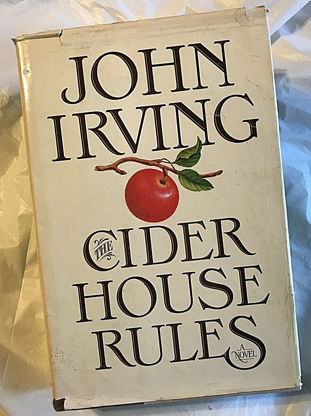 John Irving THE CIDER HOUSE RULES 1985 Vintage Edition According to Garp Novel