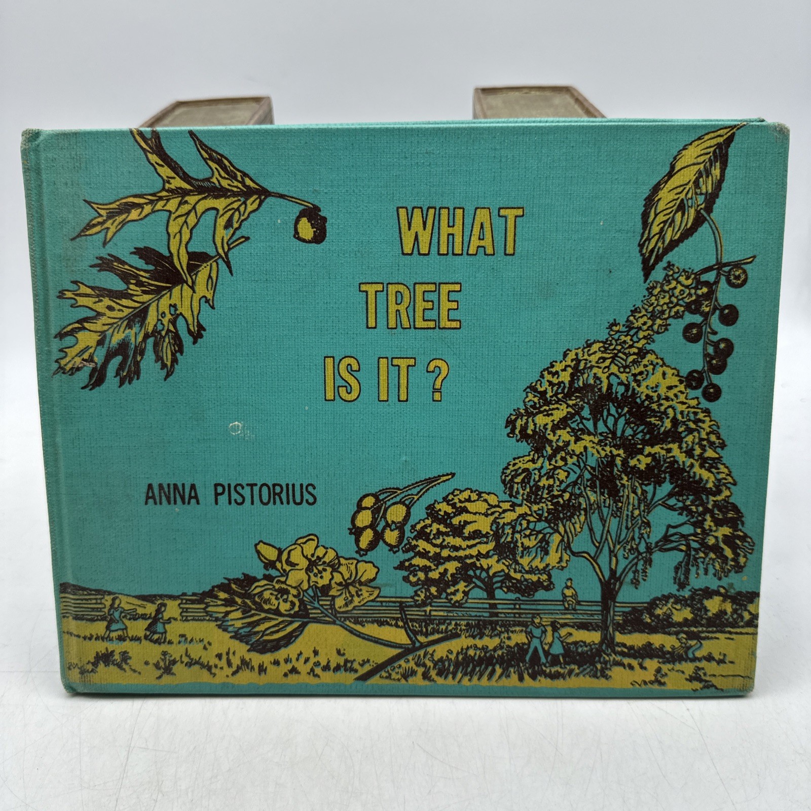 What Tree Is It Anna Pistorius 1955 Follett Nature Guide Illustrated (AC20)