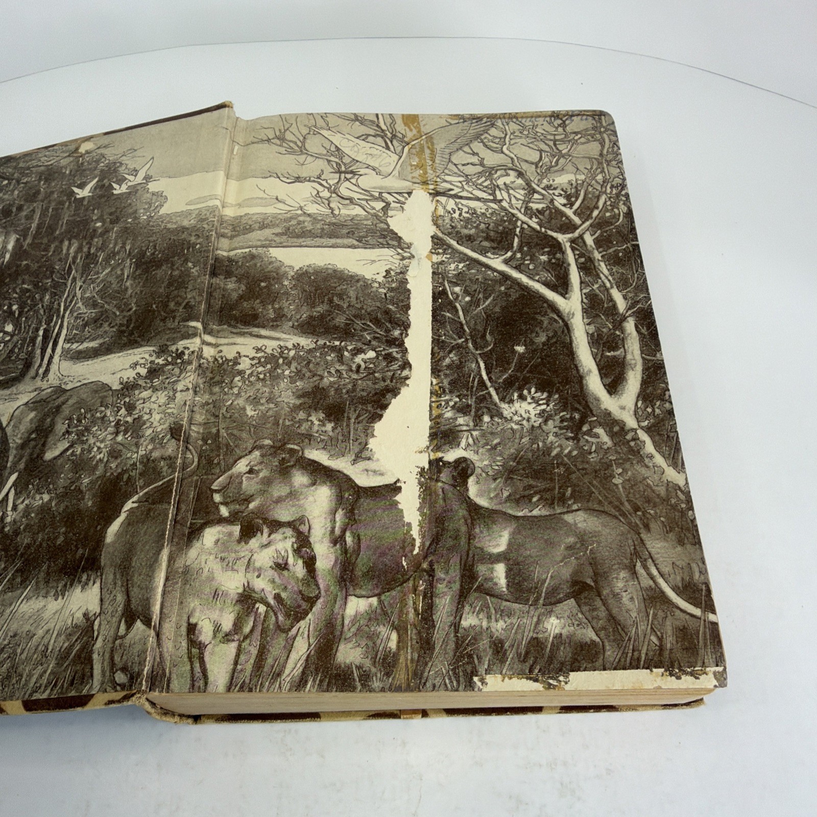 Four Years in Paradise 1941 First Edition by Osa Johnson Hardcover Dust Jacket