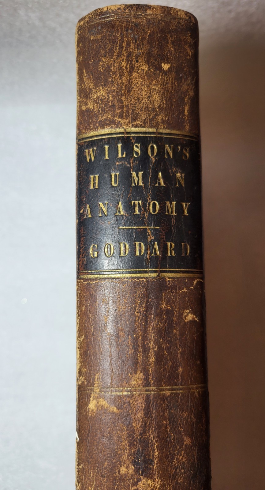1856 Wilson Human Anatomy Leather Bound Original Science & Medicine Anatomy Book