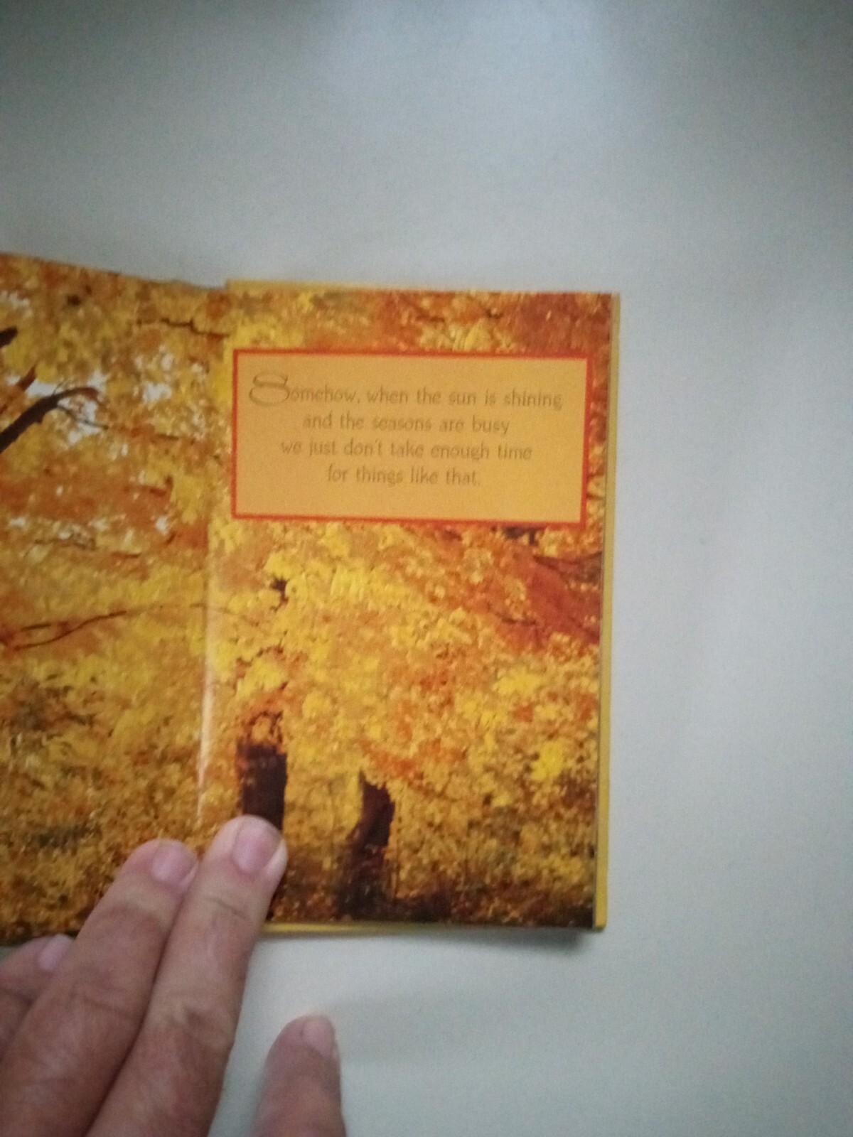 Some Special Thoughts To Keep You Company Hardcover Treasury Of Thoughts