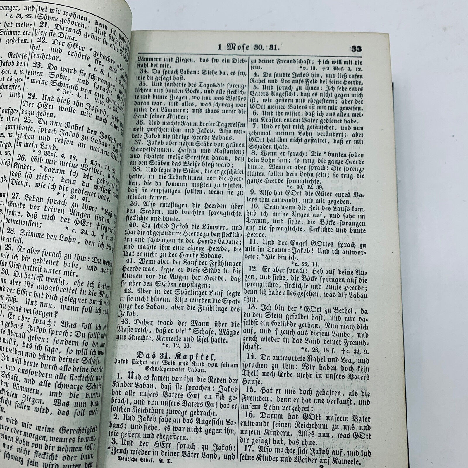 German Language Bible Die Heilige Schrift Martin Luther Antique Book