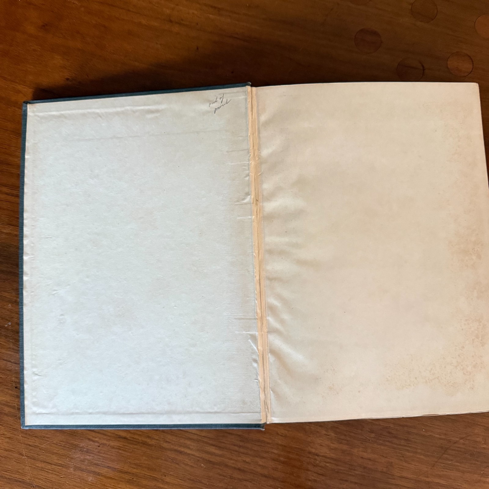 Rare 1910 Willy Pogany Ancient Mariner – COMPLETE 20 Plates Art Nouveau Binding