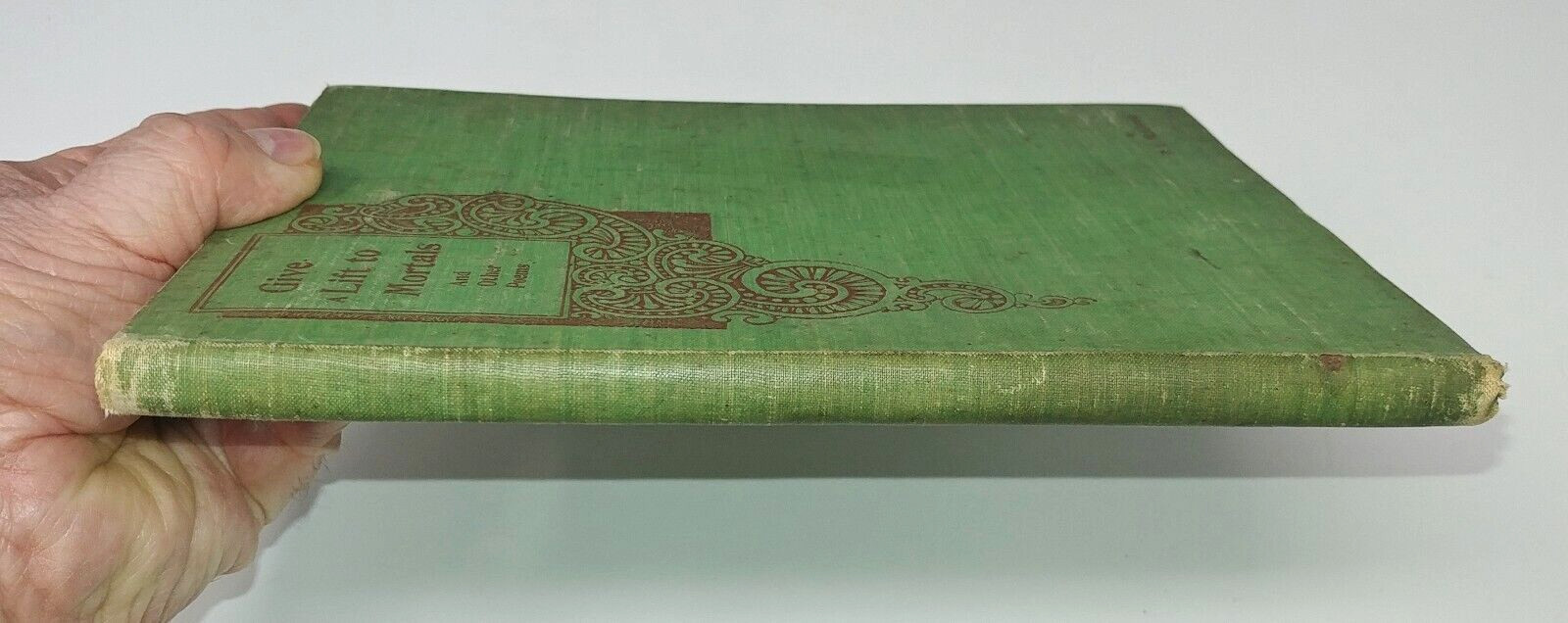 Victorian Art Nouveau Poetry Book 1896 Give A Lift to Mortals Illustrated Rare