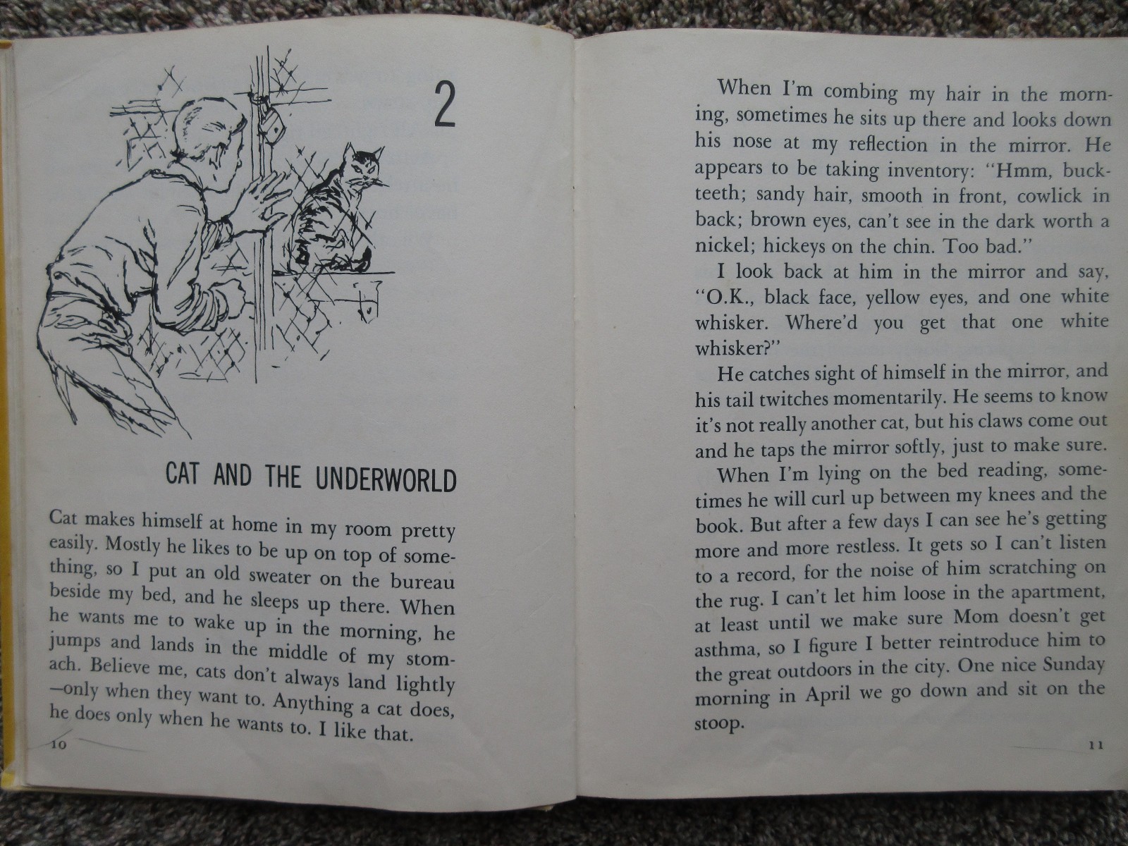 It’s Like This, Cat (1963) by Emily Neville Illustrated by Emil Weiss Hardcover