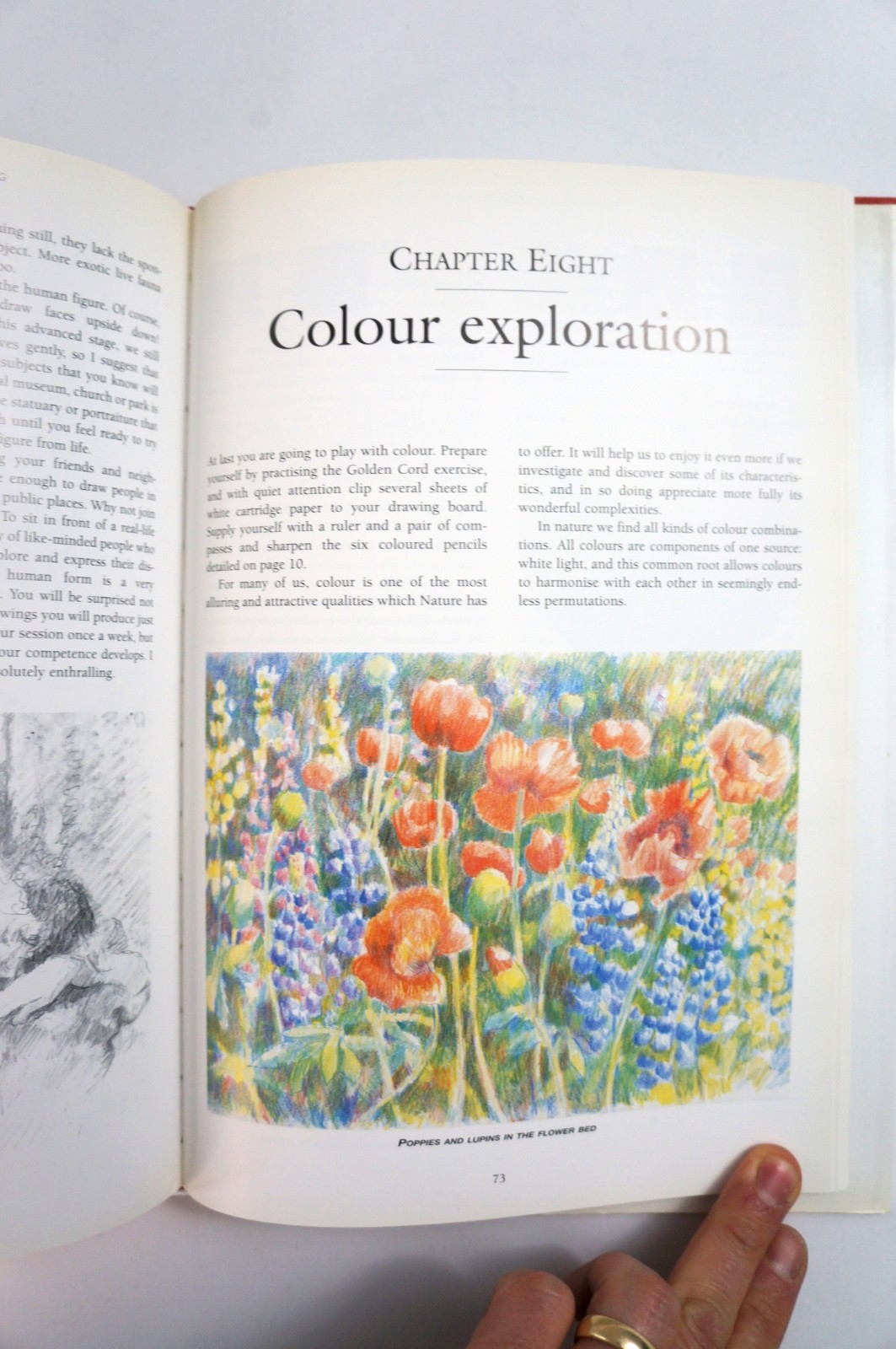 Drawing for the Terrified A Complete Course for Beginners by Richard Box 1st Ed