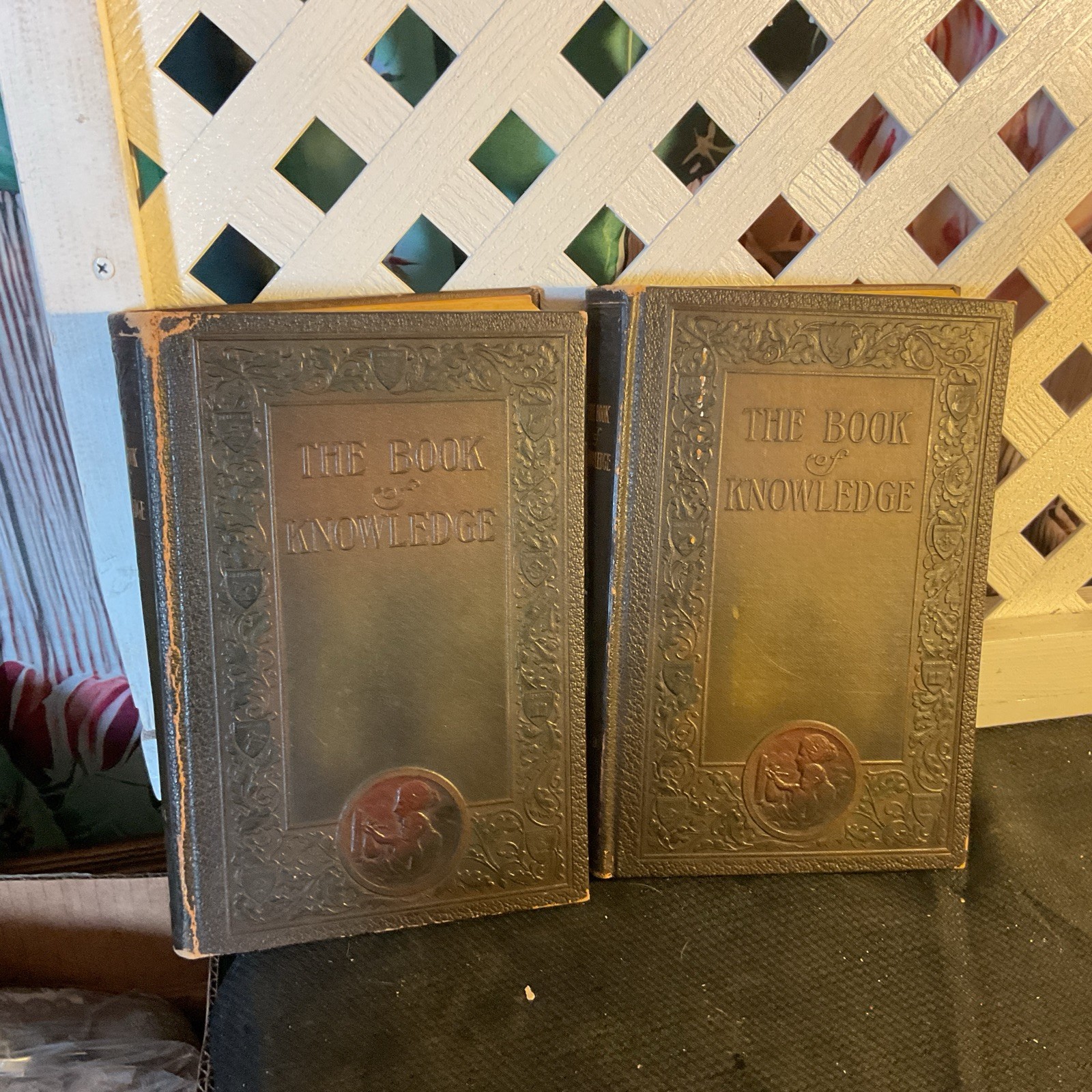 The Book of Knowledge Children’s Encyclopedia 1912 Grolier Society Volume 14&19