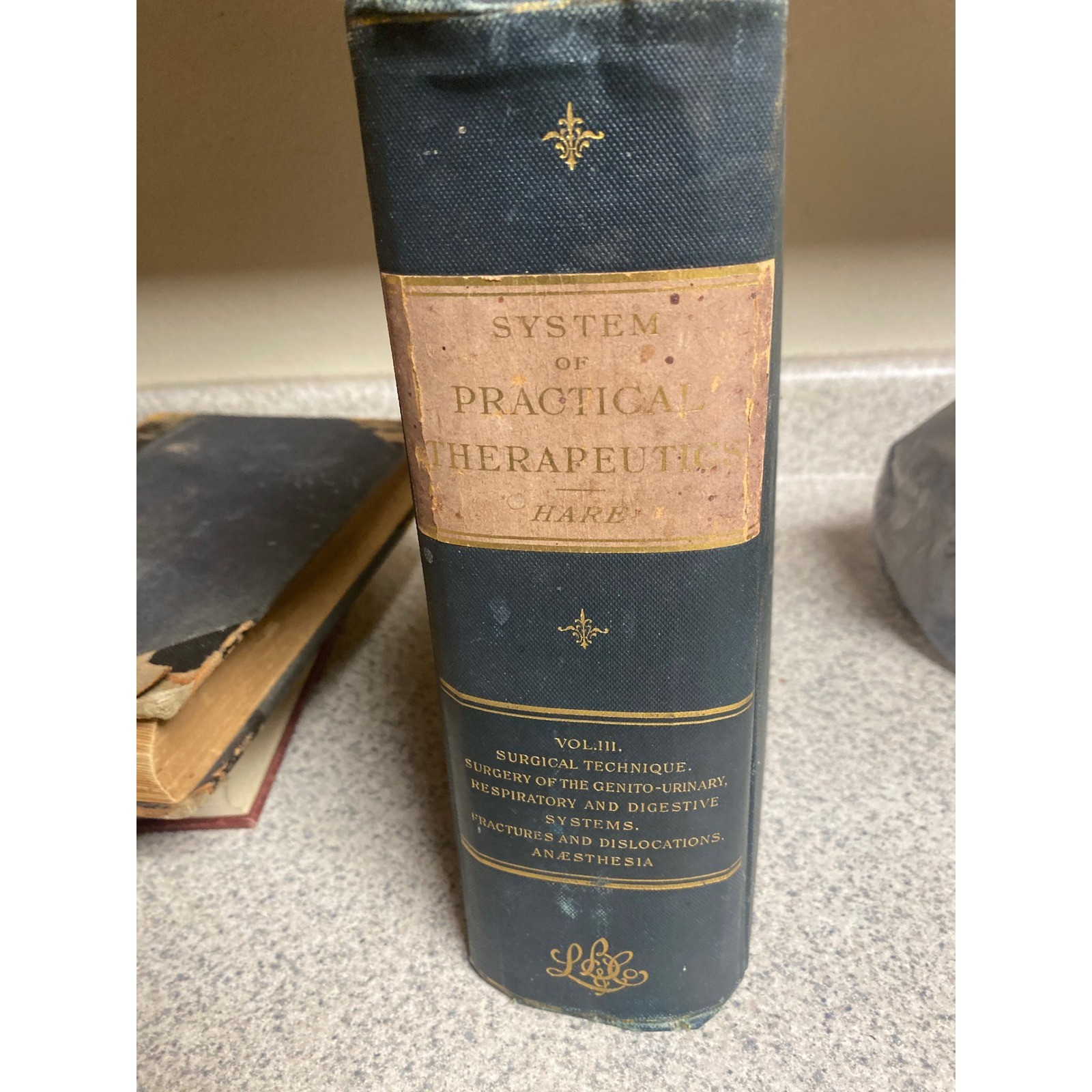 Antique 1892 System of Practical Therapeutics Vol III Hobart Oddities Curiositie