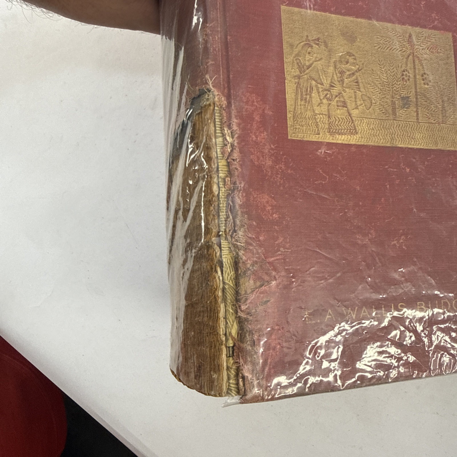 1911 Osiris Egyptian Resurrection E.A. Wallis Budge 2 Vol Occult Set w/ Fold Out