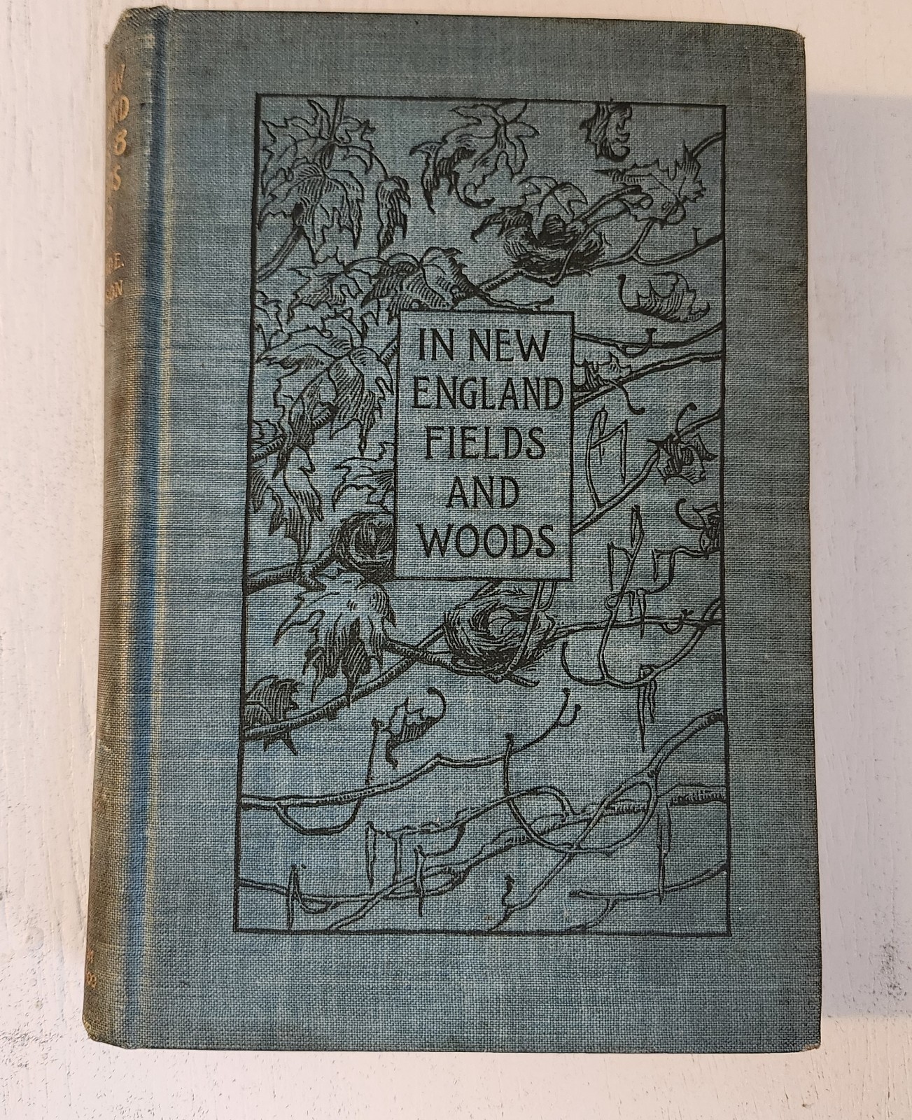 1896 1st Ed. In New England Fields and Woods Rowland Robinson Antique HC