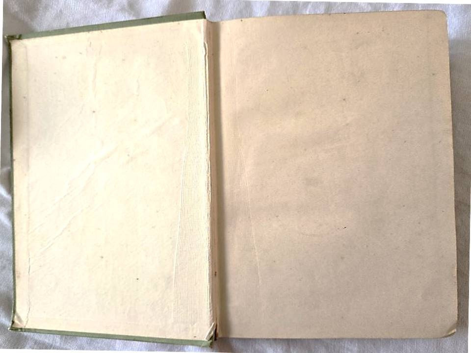 1895 Those Midsummer Fairies (Illustrated) by Elmslie