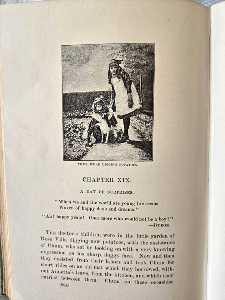 1895 Those Midsummer Fairies (Illustrated) by Elmslie