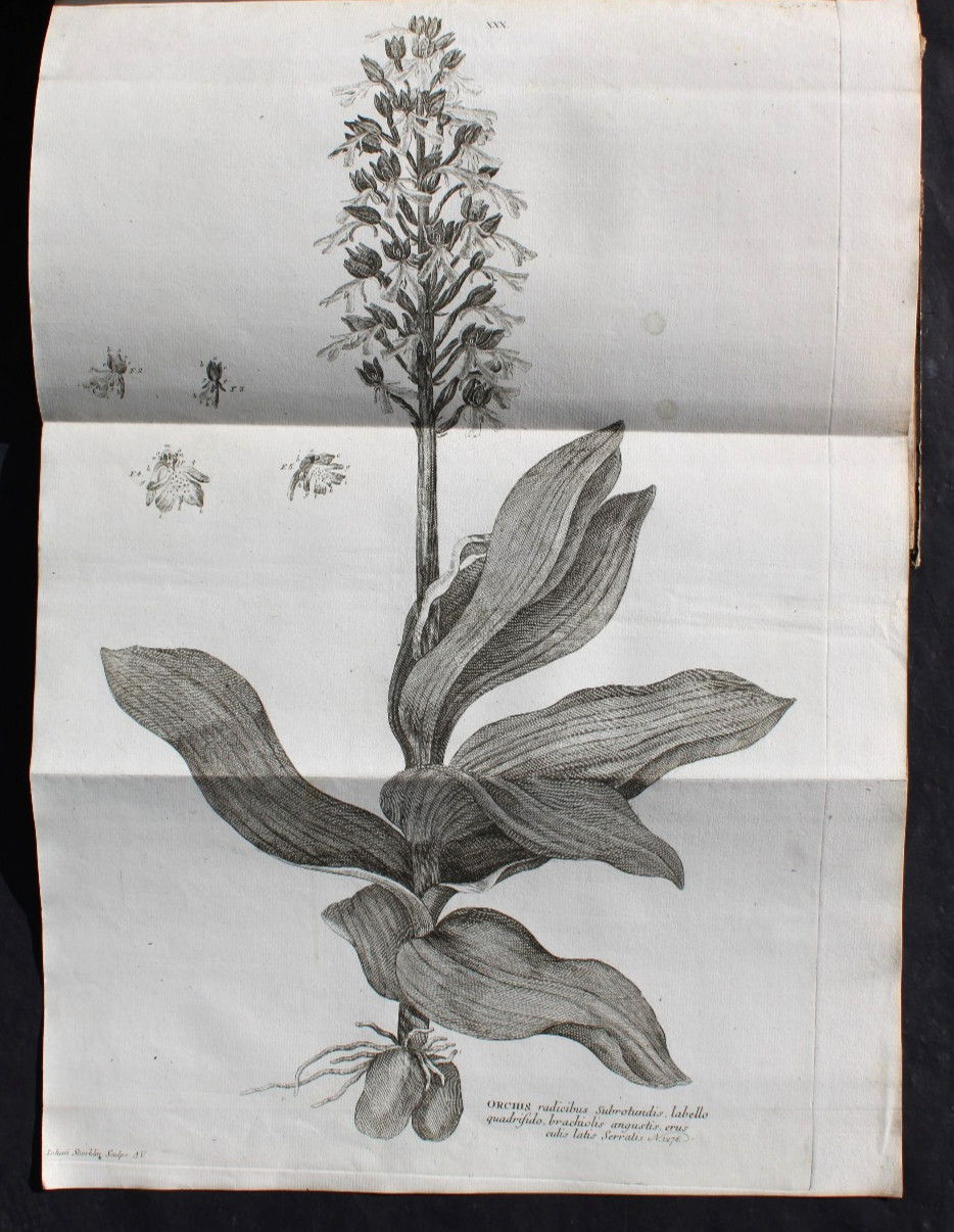 ALBERTI VON HALLER ICONES PLANTARUM HELVETIAE,FIRST EDITION,47 COPPER PLATES,1795
