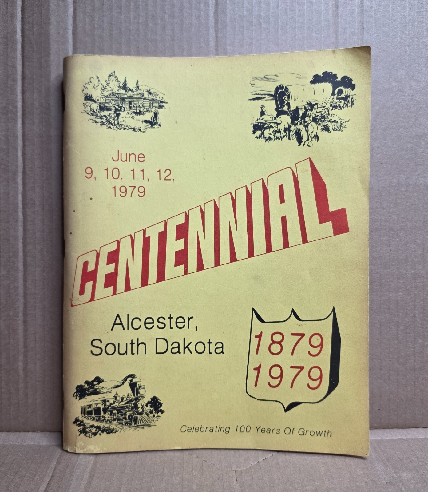 Centennial 1879-1979 Alcester South Dakota 100 Years of Growth Paperback