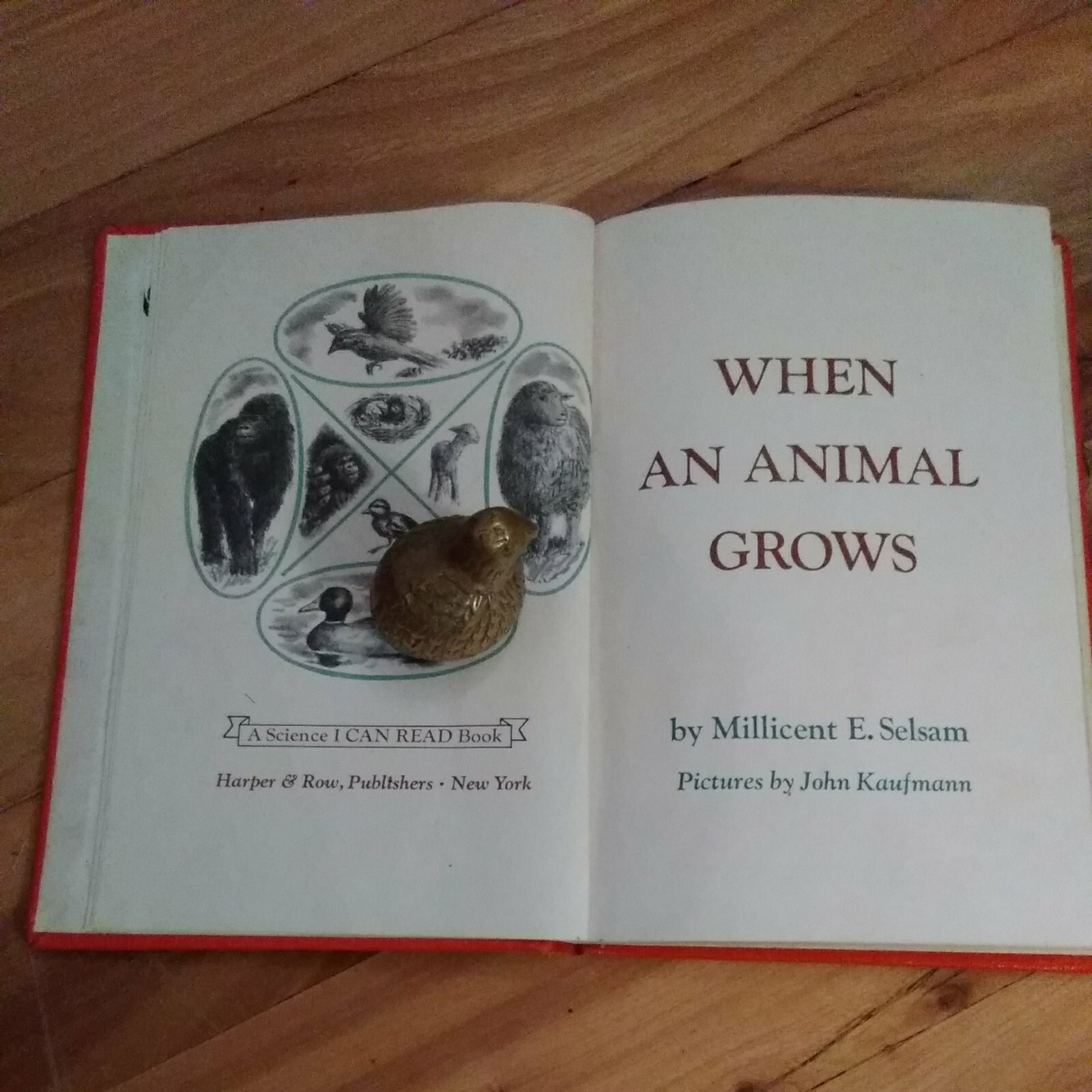 When an Animal Grows by Millicent E. Selsam – 1966 A Science I Can Read Book