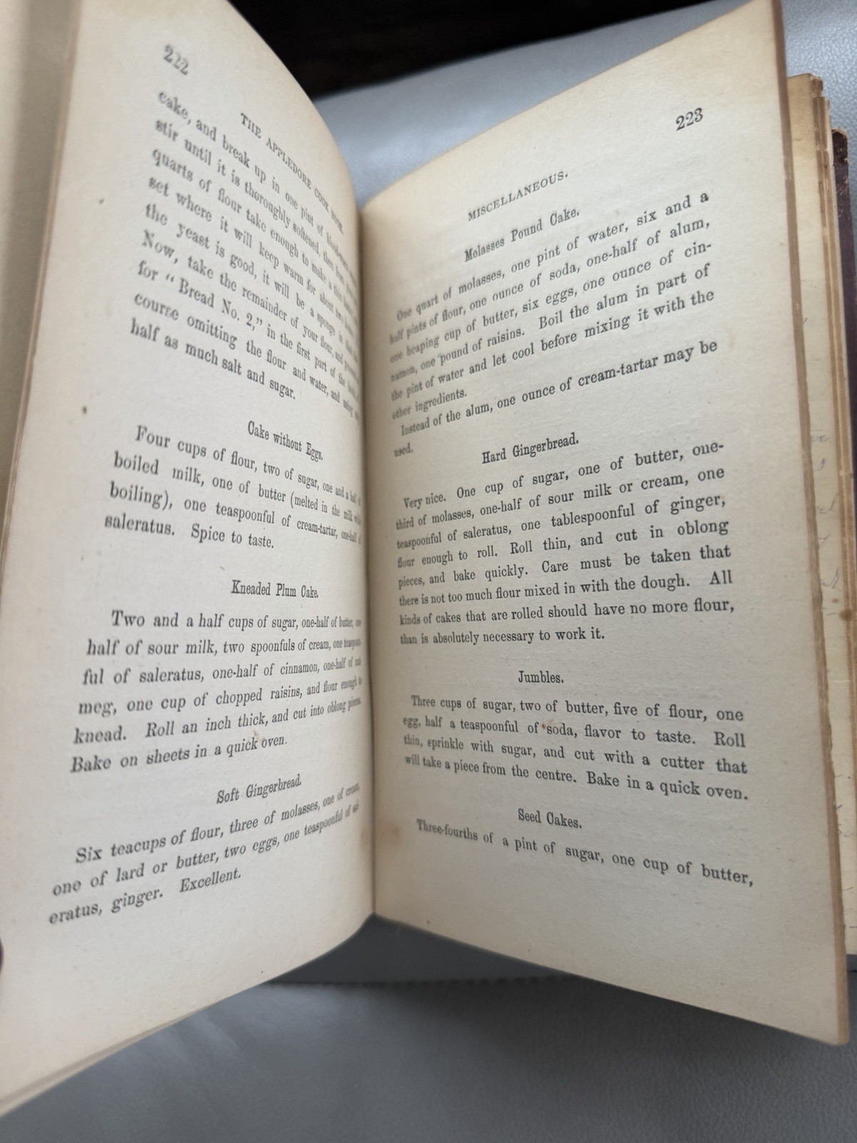 The Appledore Cookbook Practical Receipts 1880 Hardcover Vintage Rare Antique