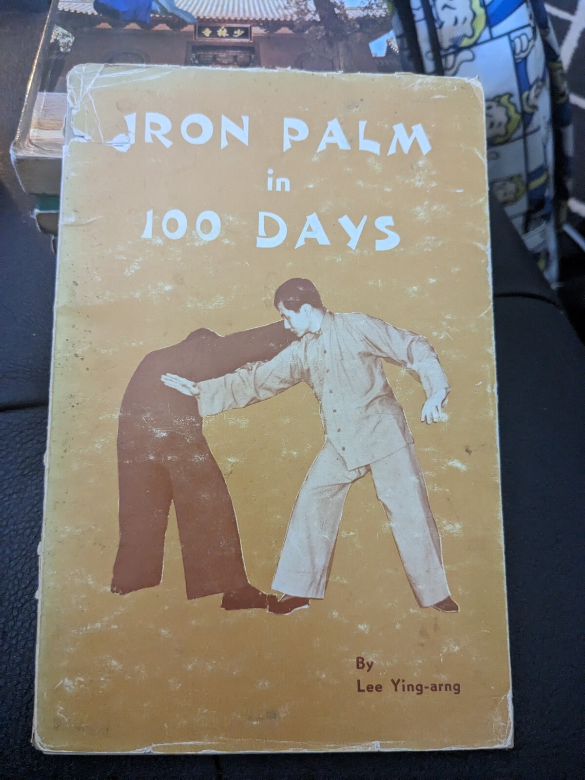 RARE 1968 1st EDITION IRON PALM IN 100 DAYS BY LEE YING-ARNG KUNG FU KARATE