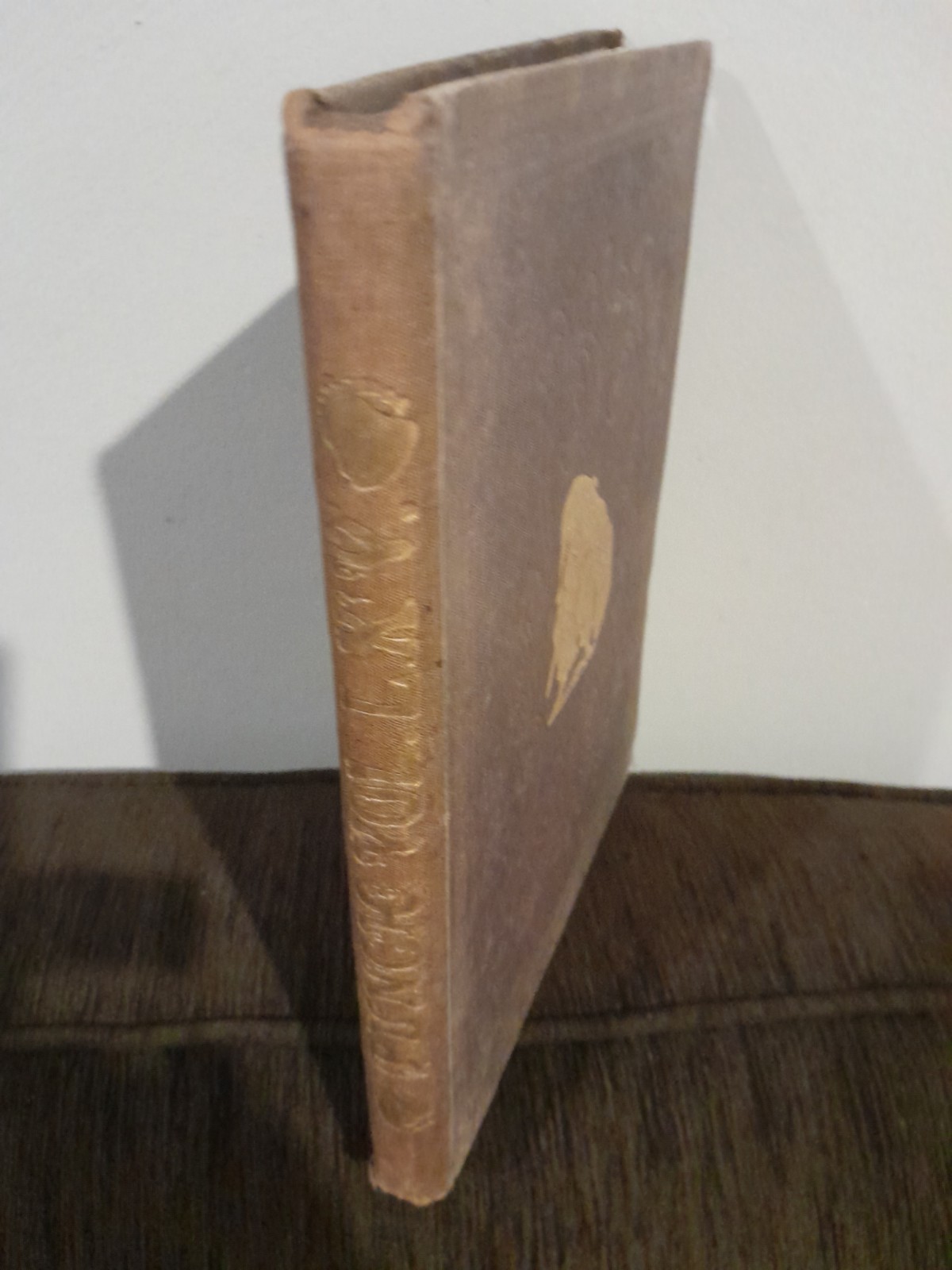 Vintage Punch Hardback Book 1873 – Rare And Collectable Antique Book.