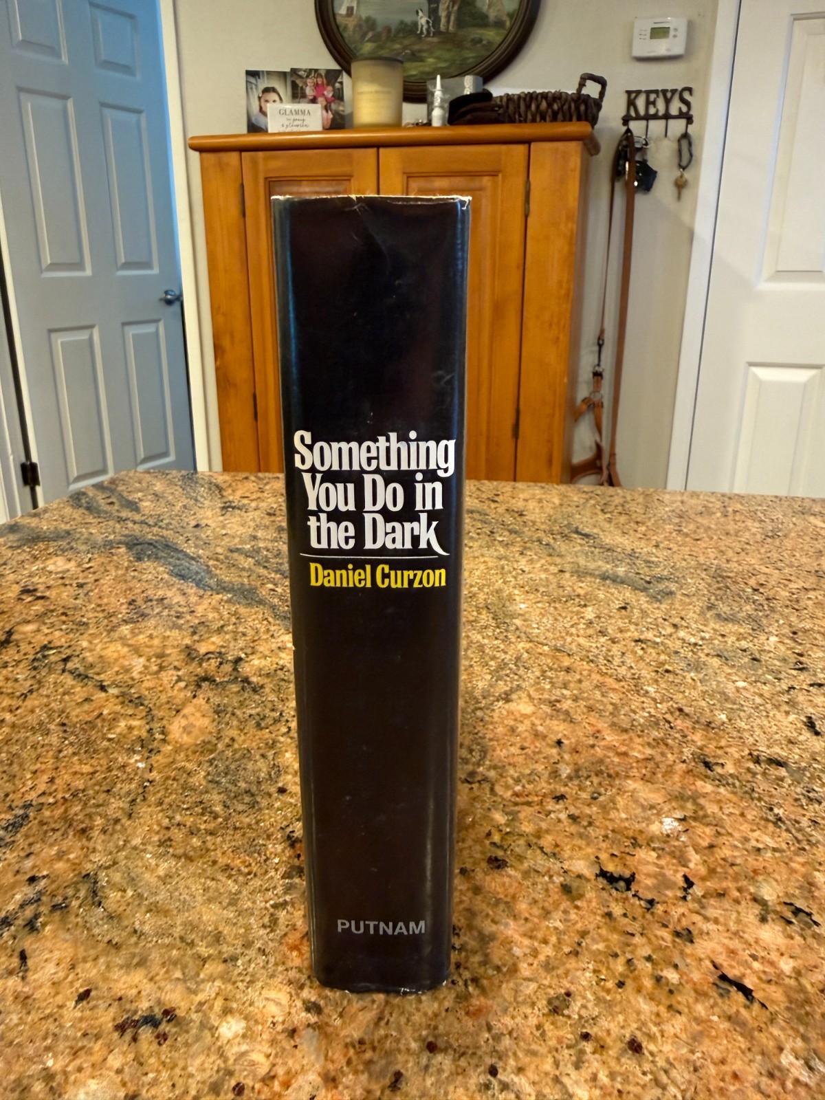 Dan Curzon / Something You Do in the Dark 1st Edition 1971