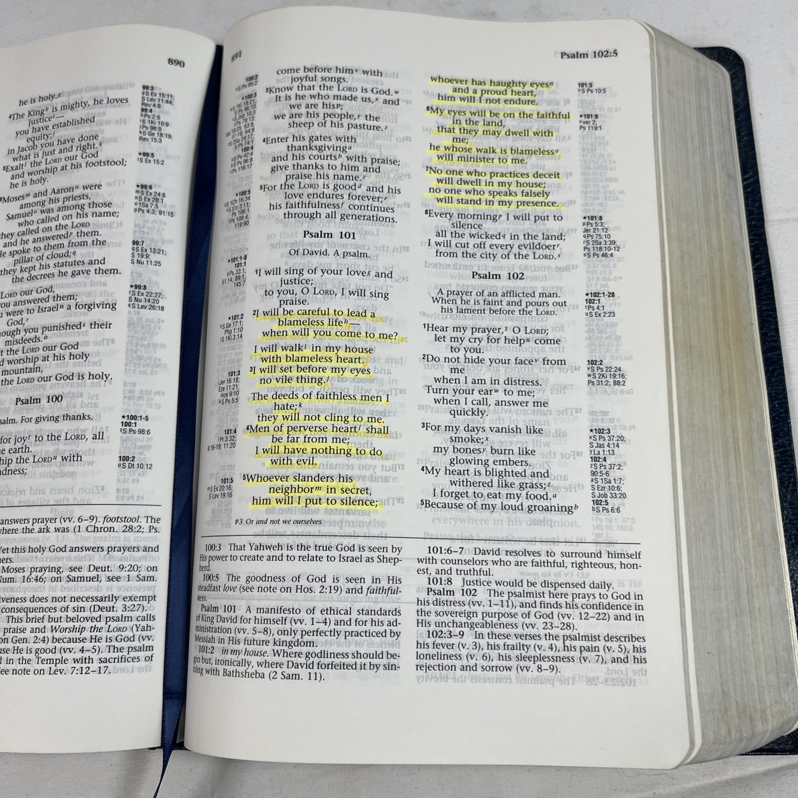 1994 NIV Ryrie Study Bible Expanded Edition Red Letter Moody Blue Cover