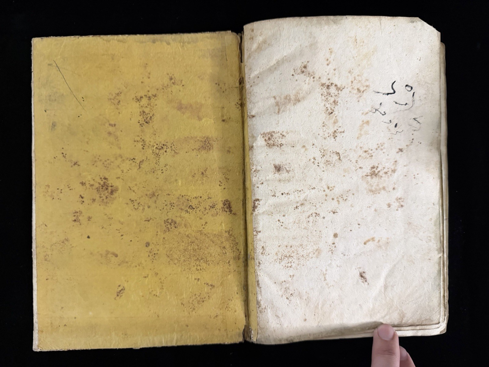 Antique Ottoman Turkish Arabic Script Grammar Language Book Floral Binding