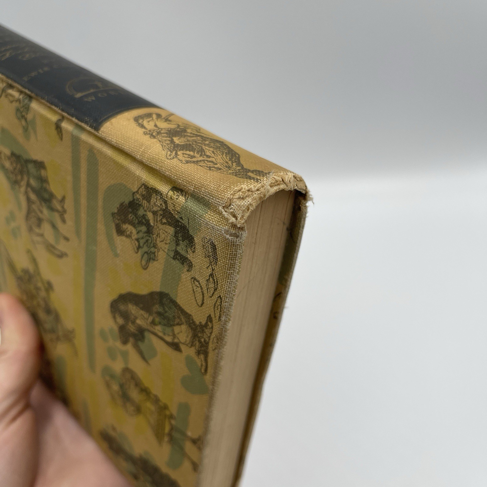 Alice In Wonderland and Through The Looking Glass – HC, 1946 – Illustrated
