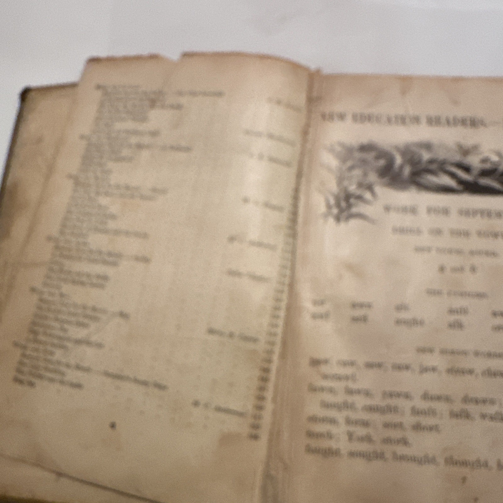 New Education Readers Book Three American Book Co. School Hardcover 1901 Vintag