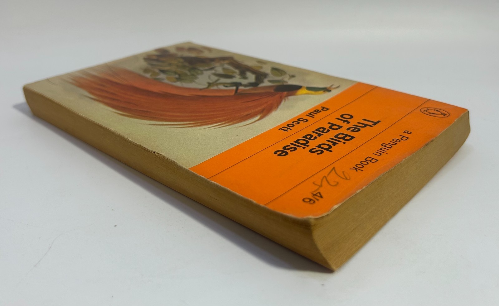 Vintage ‚The Birds of Paradise‘ Paul Scott Paperback Book 1964 Penguin Book