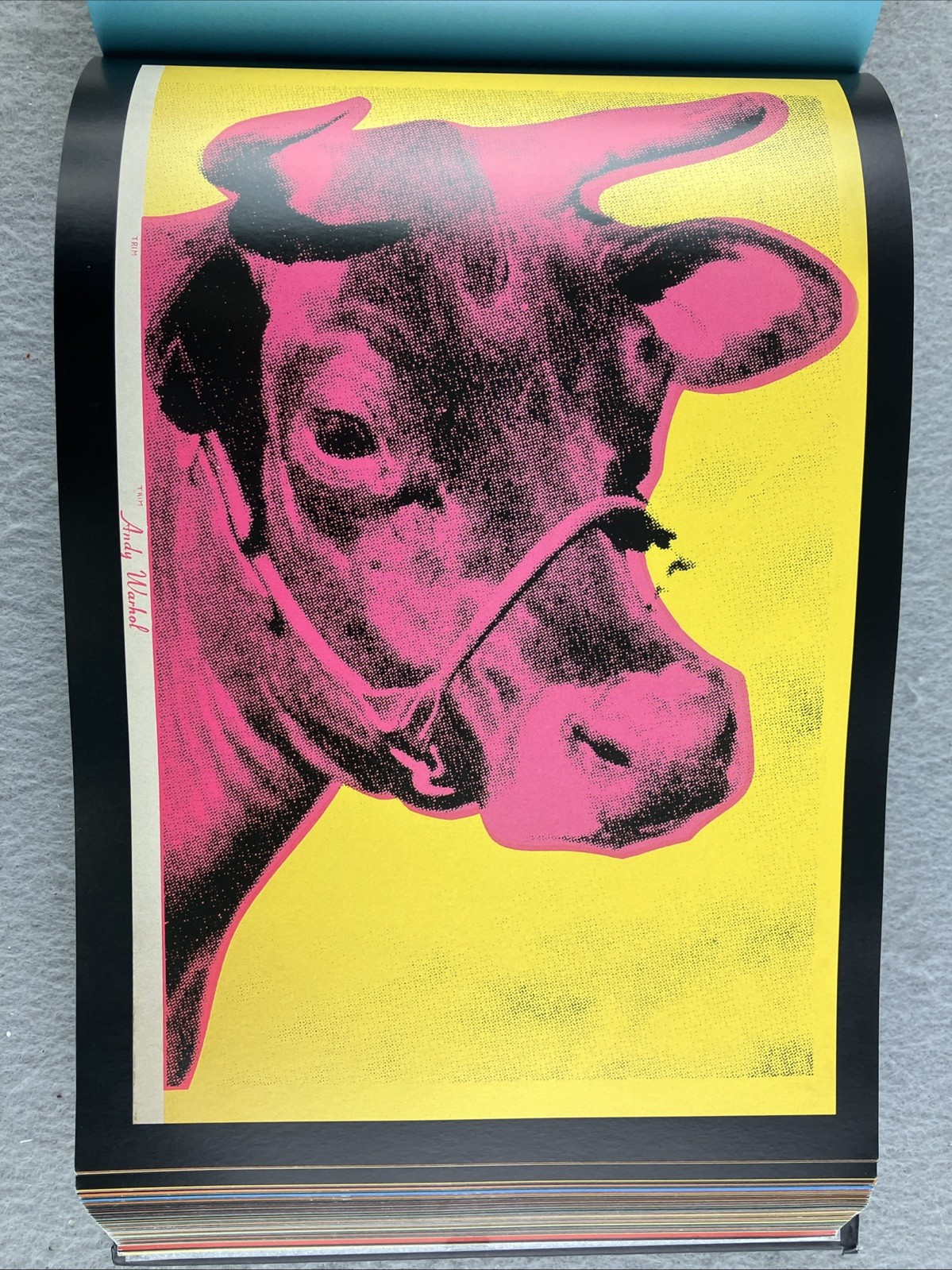 ANDY WARHOL: 365 TAKES: THE ANDY WARHOL MUSEUM COLLECTION ART Photography